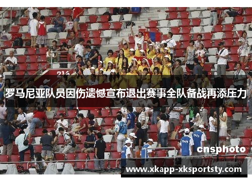 罗马尼亚队员因伤遗憾宣布退出赛事全队备战再添压力