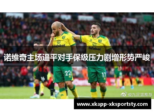 诺维奇主场逼平对手保级压力剧增形势严峻