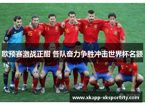 欧预赛激战正酣 各队奋力争胜冲击世界杯名额