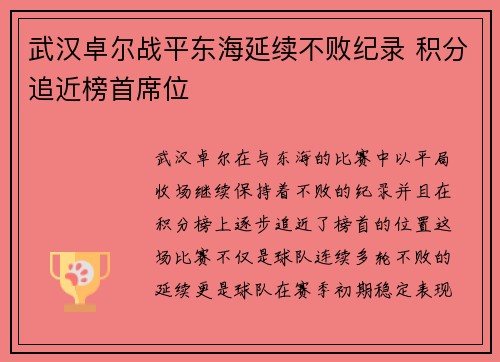 武汉卓尔战平东海延续不败纪录 积分追近榜首席位