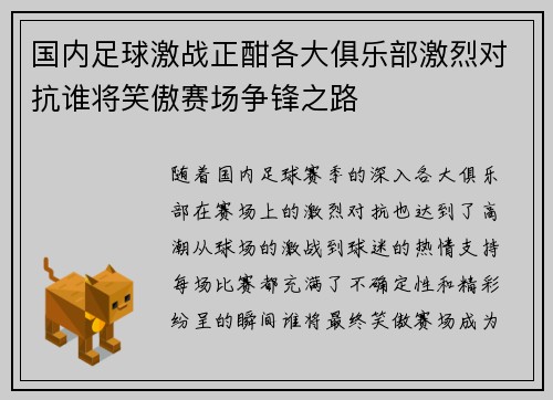 国内足球激战正酣各大俱乐部激烈对抗谁将笑傲赛场争锋之路